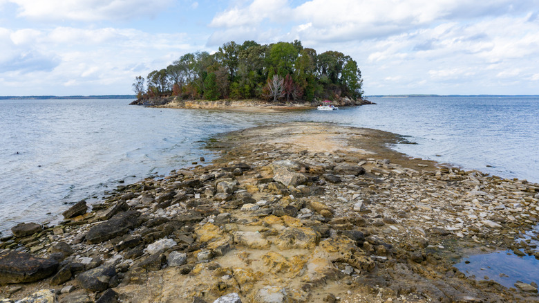 Lake Sam Rayburn, Texas