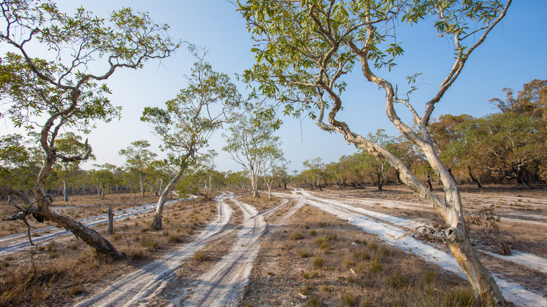 tire tracks in empty area