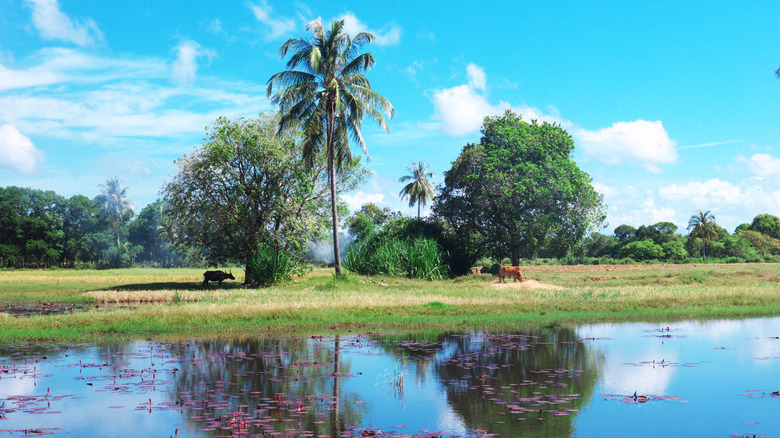 serene Koh Sukorn landscape