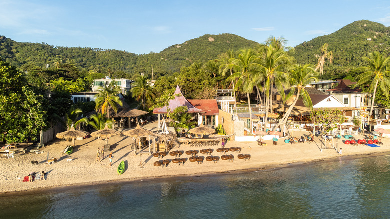 Koh Tao beach