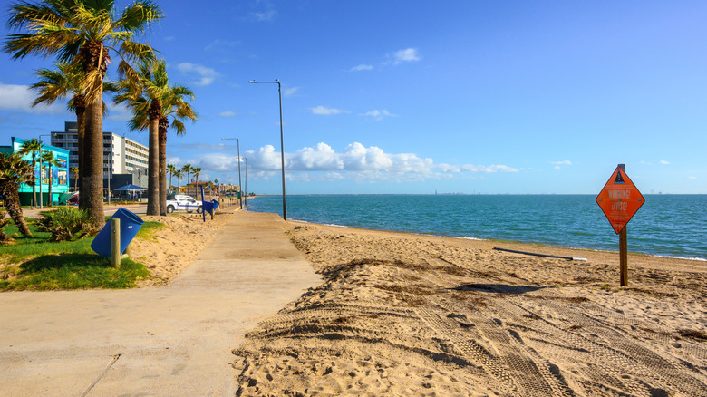 A path along the North Beach shoreline in Corpus Christi.