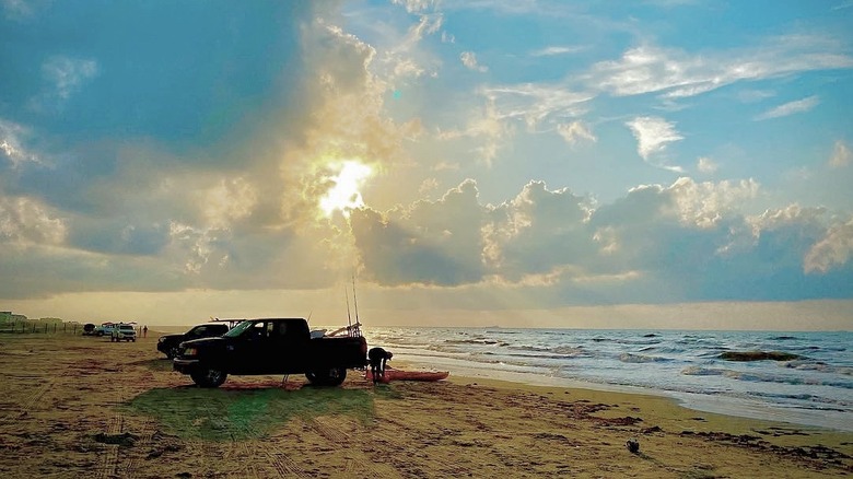 Vehicles on Sewarts Beach at sunset.