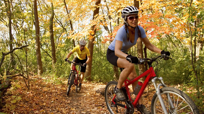 Mountain bikers on a fall trail