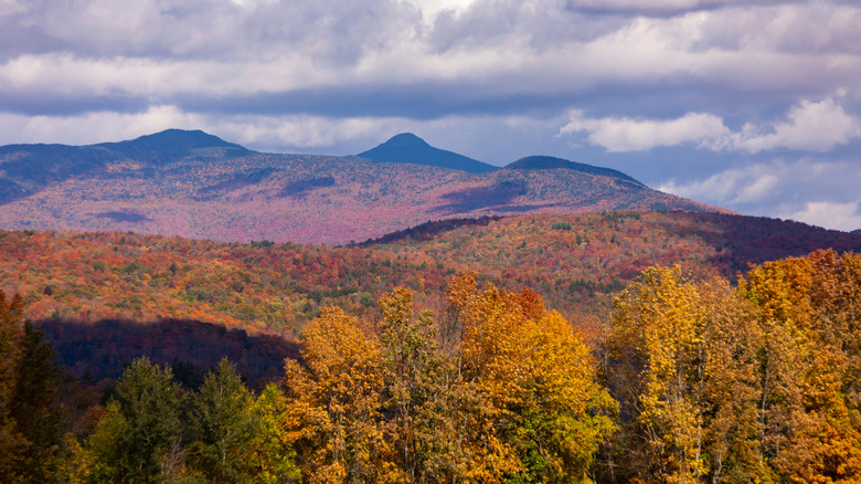 Vermont foliage in the Mad River Valley