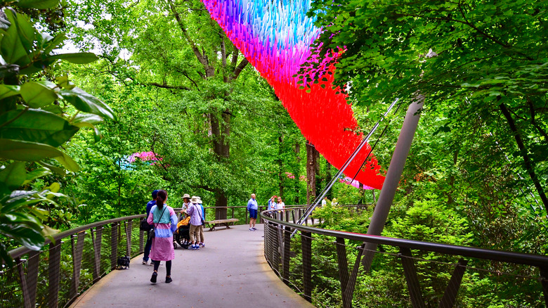 Atlanta Botanical Garden Canopy Walk