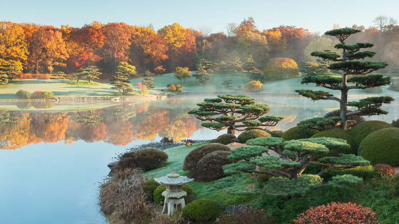 Waterfront at Chicago Botanic Garden