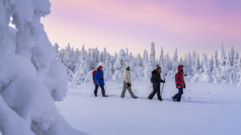 Four people walking through snow-capped scenery