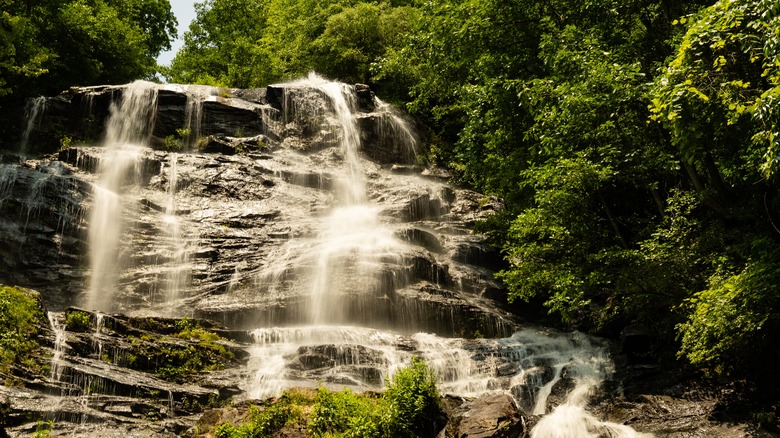 Amicalola Falls State Park waterfall