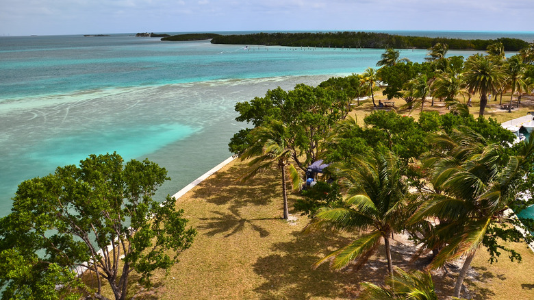 Biscayne National Park beach