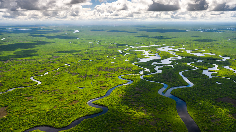 Everglades National Park aerial view