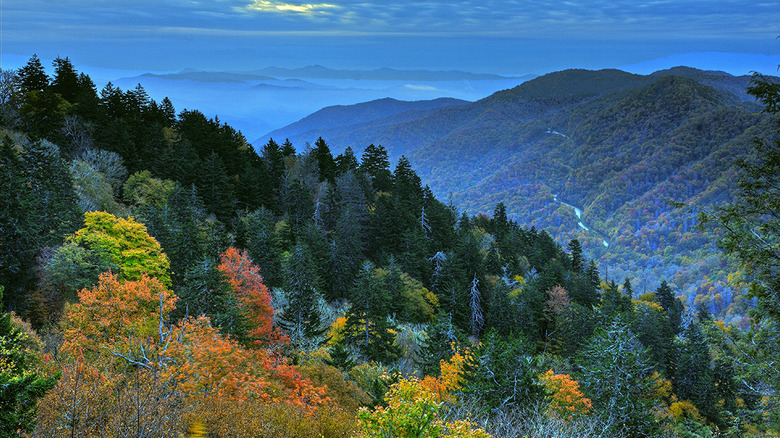 Great Smoky Mountains National Park