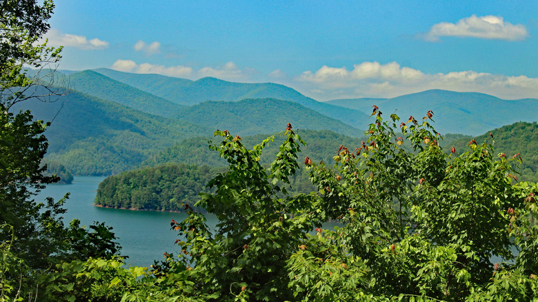 Great Smoky Mountains