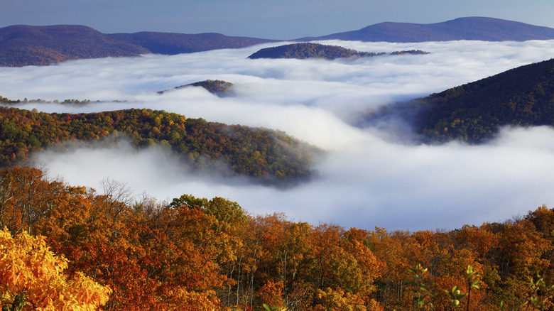 above clouds in Shenandoah