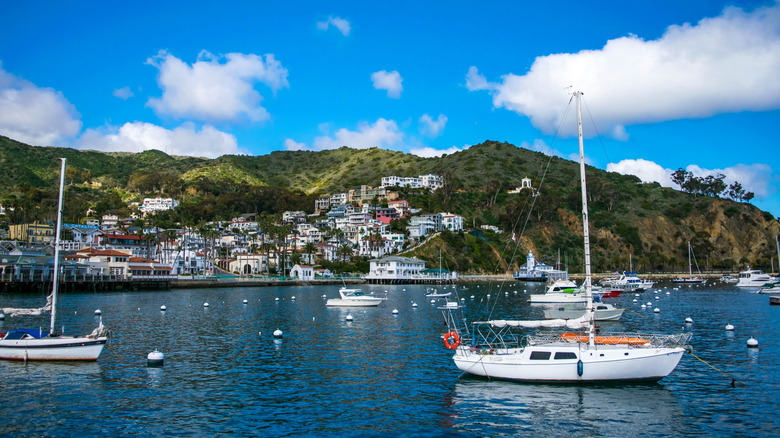 boats on Catalina Island