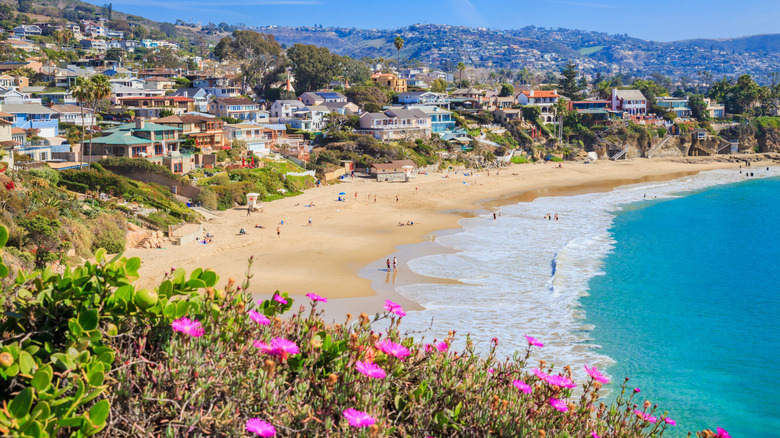 Laguna Beach aerial view