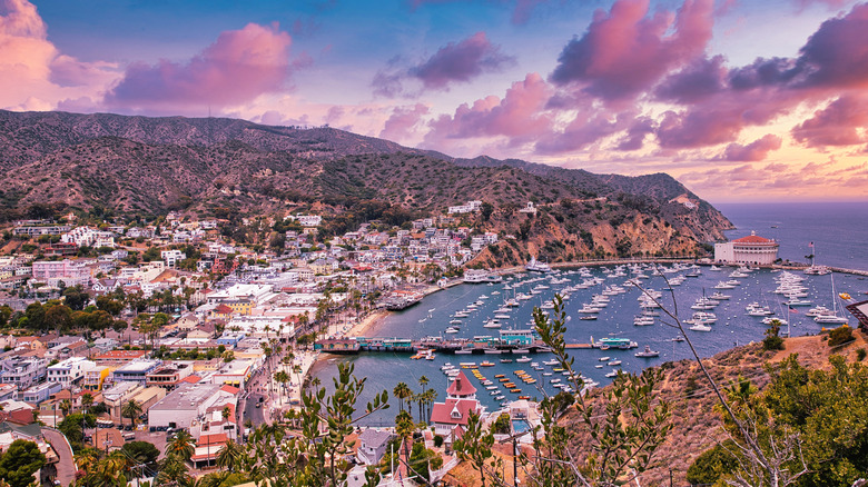 Catalina Island sunset