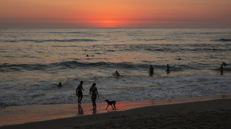 Beachgoers at sunset in San Diego