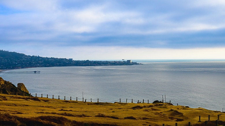 A rugged beach with a view of the ocean and blue sky in Torrey Pines