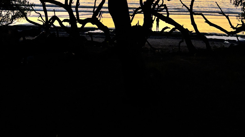 One of the many magical sunsets at Playa Avellanas, Costa Rica