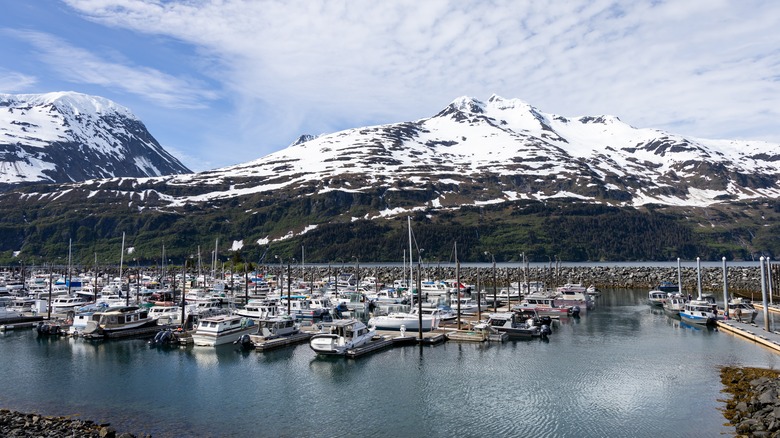 marina boats and snowy mountains