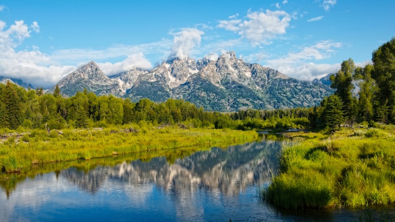 river with trees and mountains