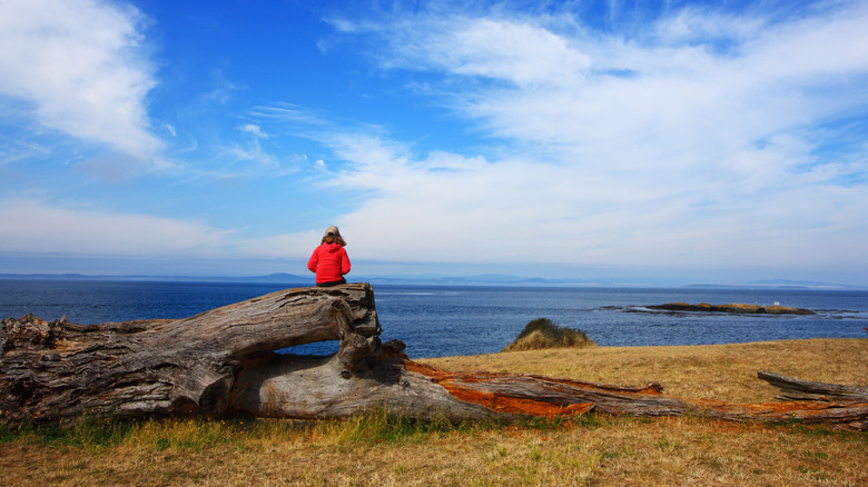 person on log overlooking ocean