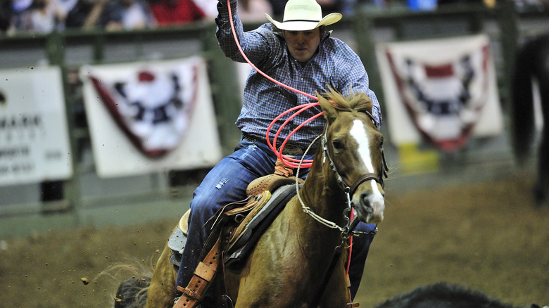 cowboy about to rope a calf at rodeo in texas