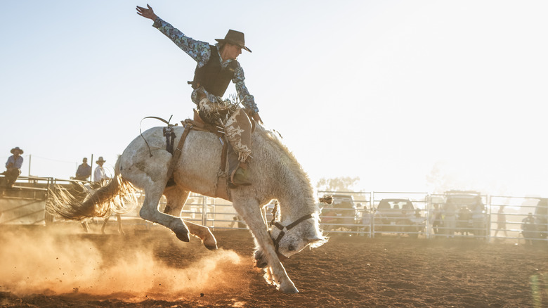 cowboy riding a saddle bronc in a dusty arena