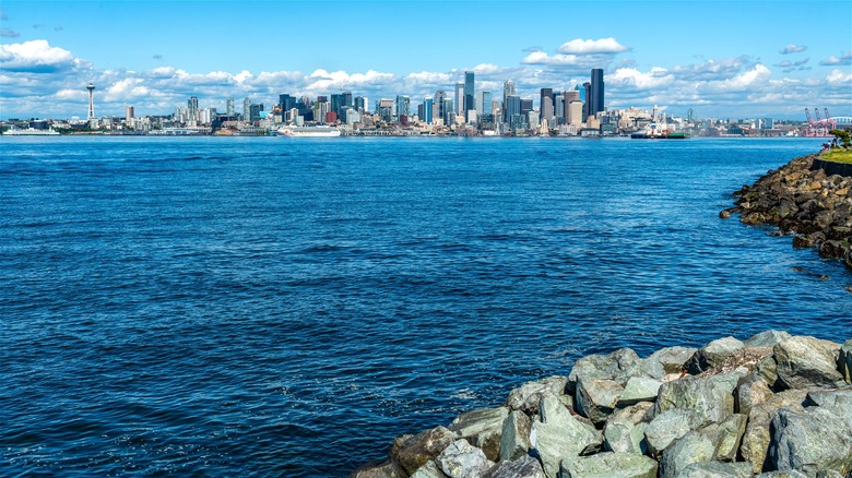 Seattle alki beach view