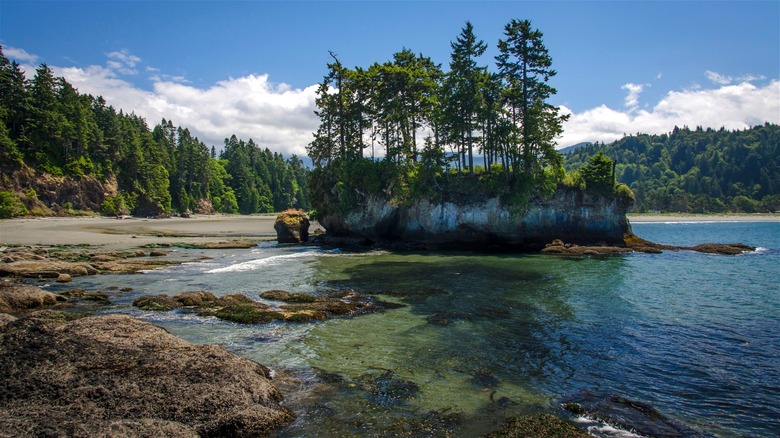 salt creek recreation area beach