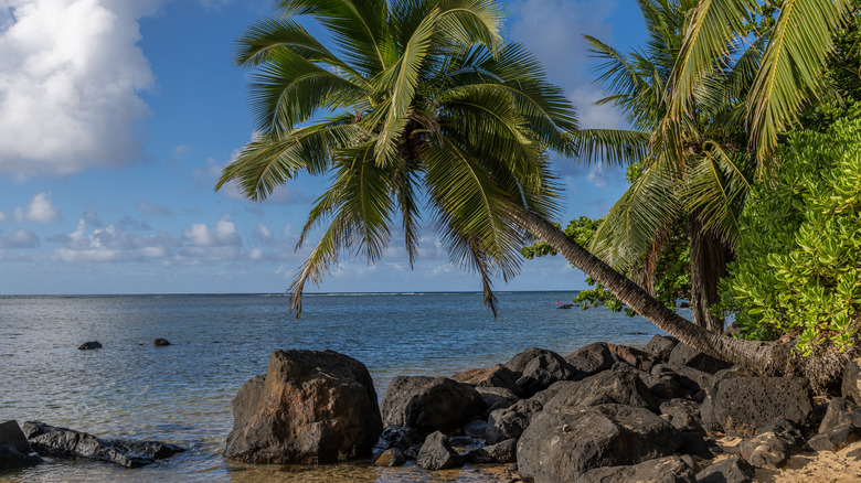 Anini Beach on Kauai