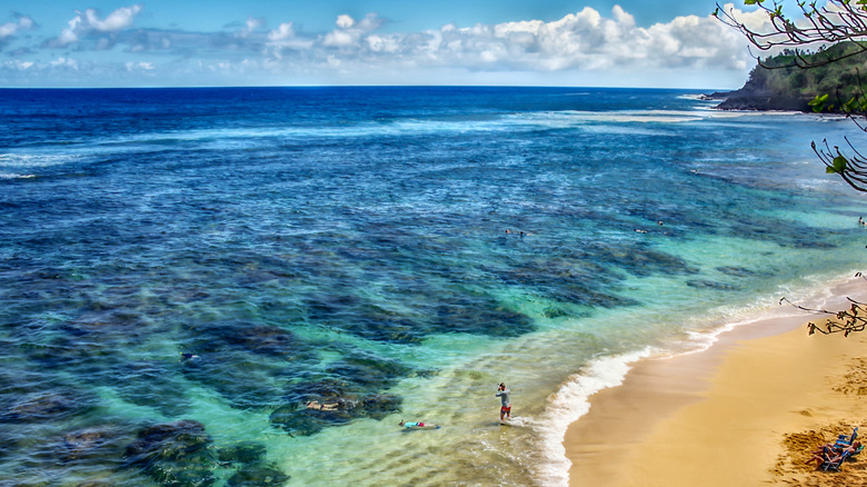 Hideaways beach snorkelers