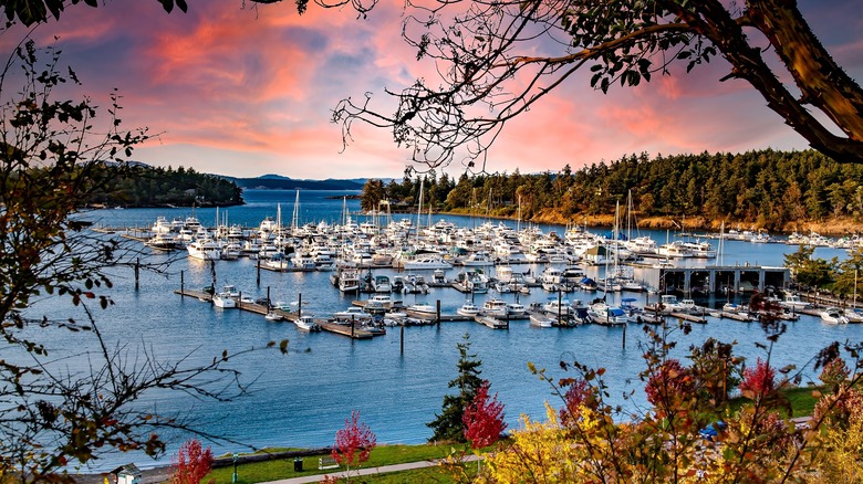 boats in Roche Harbor, San Juan Island