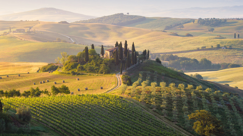 A farm on a hill in Tuscany