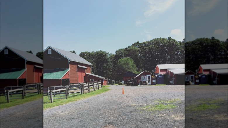 Flint Hill Farm