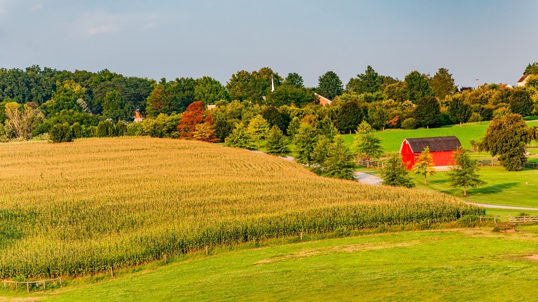 Farm in Pennsylvania