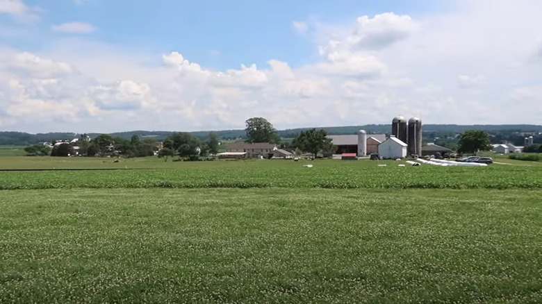 Verdant View Farm landscape