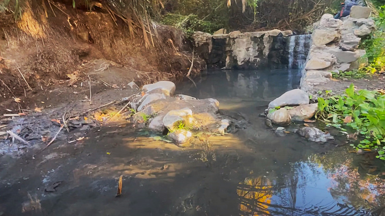 hot spring pool in forest