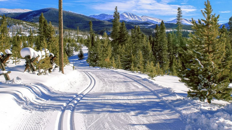 Cross country ski and snowshoe trails at Devil's Thumb.