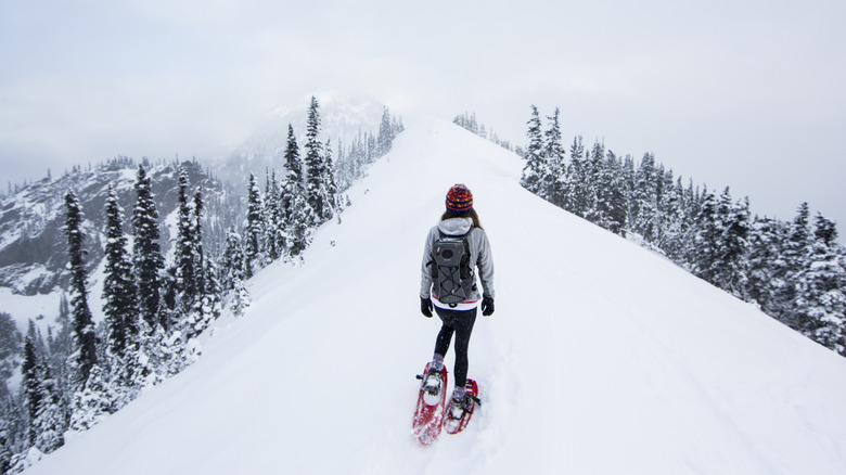 Woman climbs mountain wearing snowshoes.