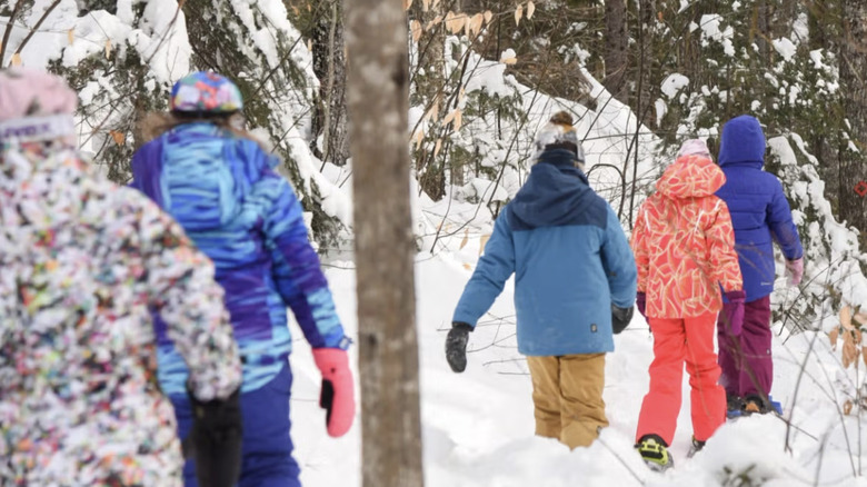 Group snowshoe tour at Sugarloaf Mountain Resort.