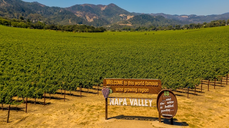 A welcome sign next to vineyards in Napa Valley, California