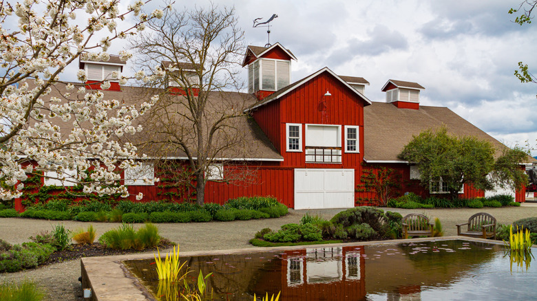 Frog's Leap Winery in Rutherford, Napa Valley