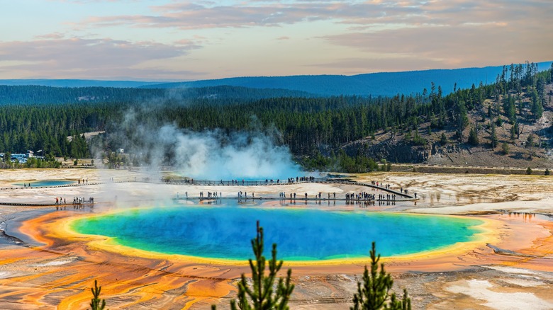 Grand Prismatic Spring blue water with yellow and orange border at Yellowstone National Park