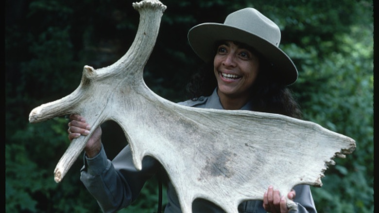 Glacier National Park ranger holds giant antler bone