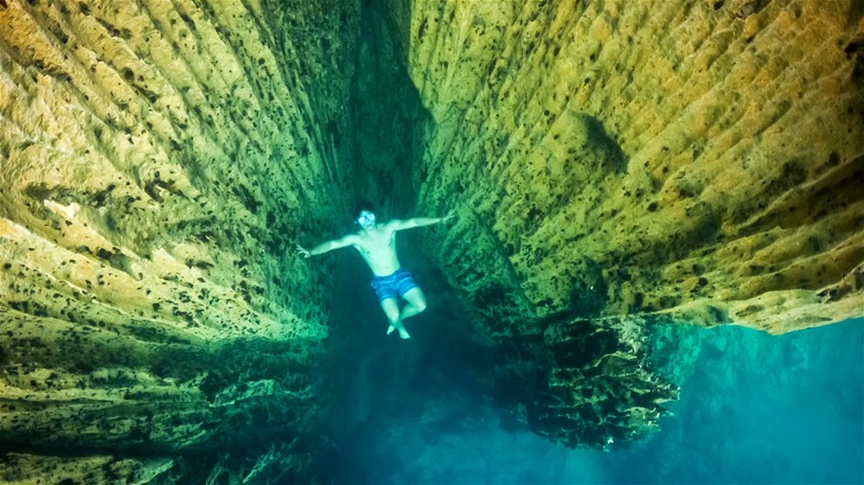 diving baracuda lake