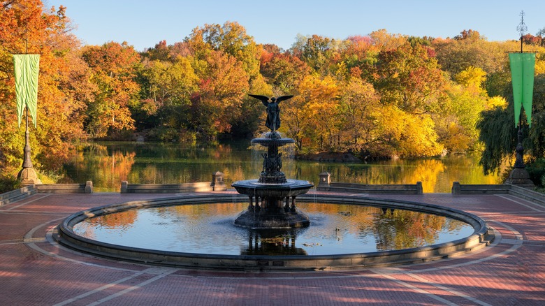 Bethesda Fountain autumn reflections