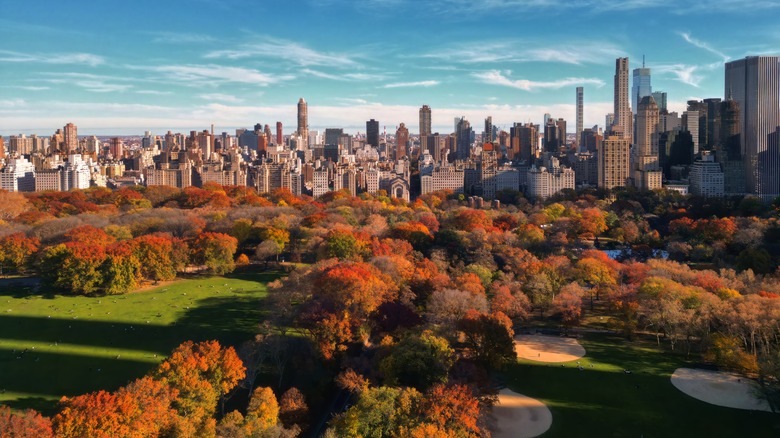 cantral park skyline fall foliage