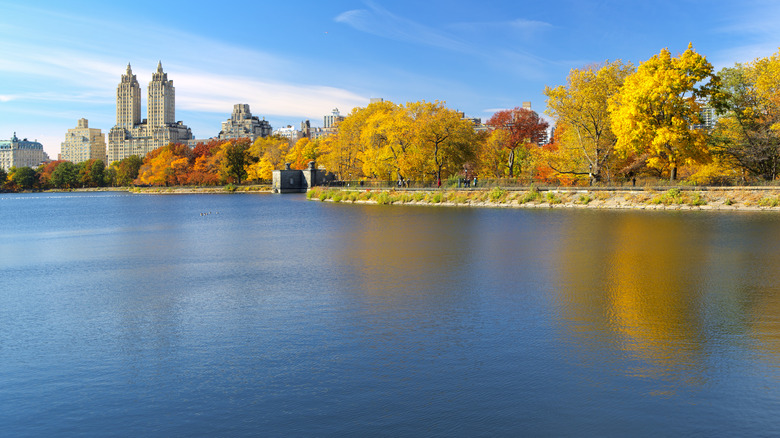 Jacqueline Kennedy Onassis Reservoir autumn