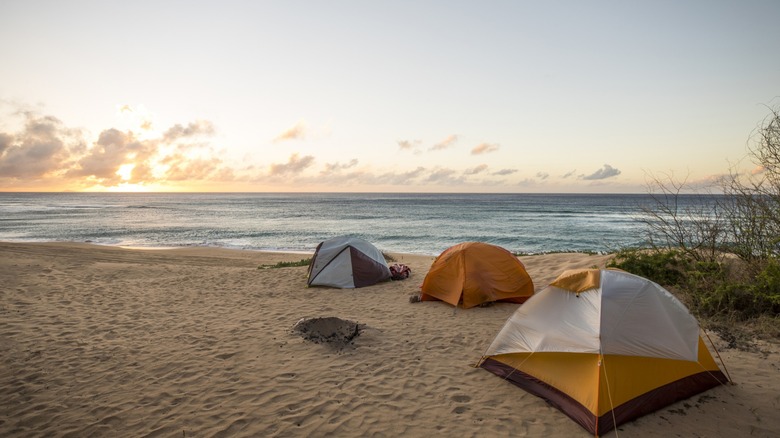 Tents on a golden sandy beach overlook at sunset